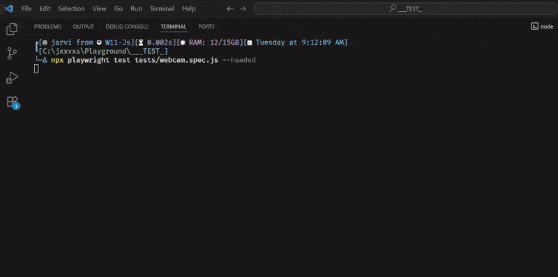 The test running in action with the fake video feed